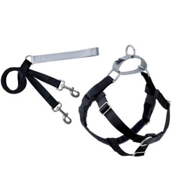 2 hounds design freedom no pull best sale dog harness & leash