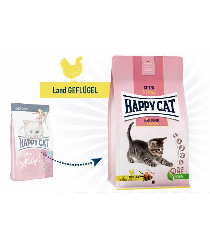 Happy cat hotsell kitten food